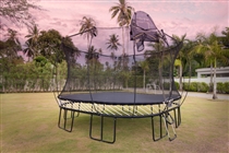 The trampoline